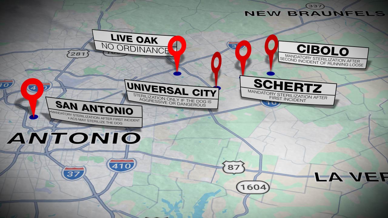 A map showing dog sterilization laws for Cibolo and other neighboring cities.
