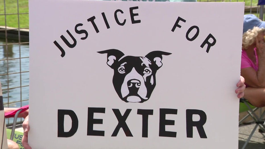 'Justice for Dexter' sign.