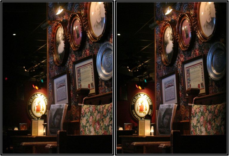 McGonigel's Mucky Duck — Houston