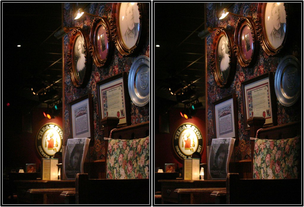 McGonigel's Mucky Duck — Houston