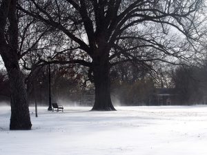 Loose Park — Kansas City