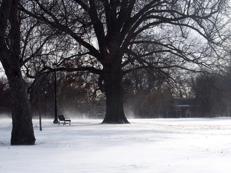 Loose Park — Kansas City