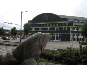 Seattle Aquarium — Seattle