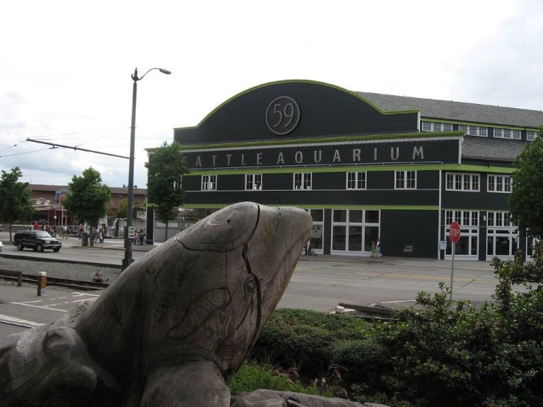 Seattle Aquarium — Seattle