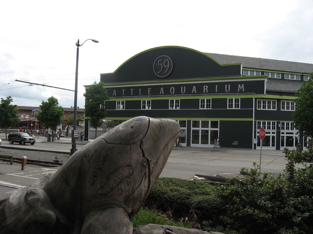 Seattle Aquarium — Seattle