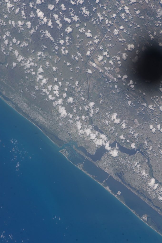 Savannas Preserve State Park — Port St. Lucie