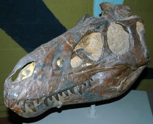 Cleveland Museum of Natural History — Cleveland