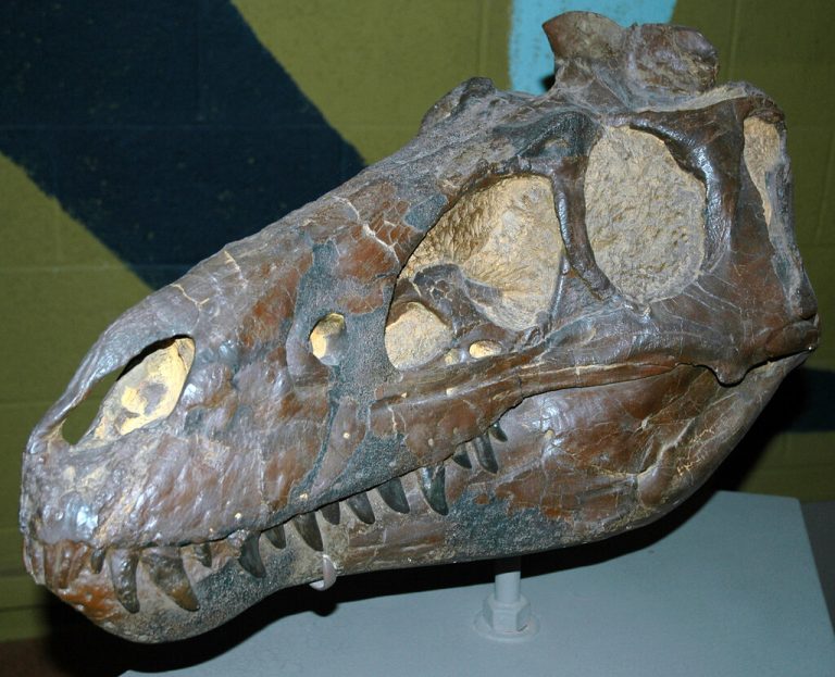 Cleveland Museum of Natural History — Cleveland