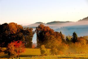 King Estate Winery — Eugene