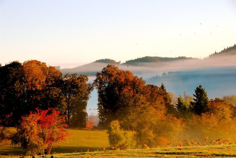 King Estate Winery — Eugene