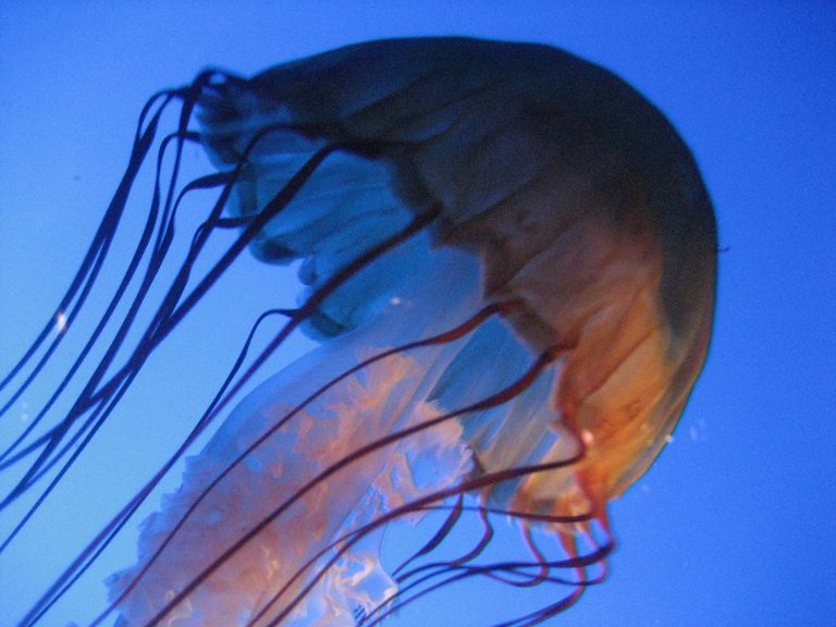New England Aquarium — Boston