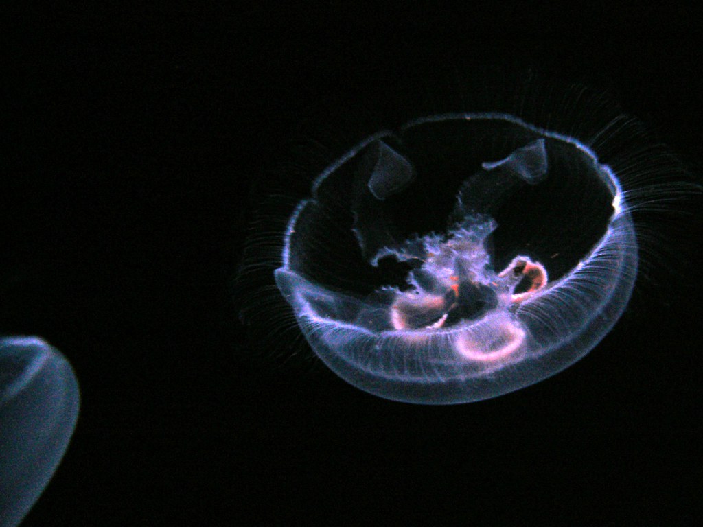 Toledo Zoo & Aquarium — Toledo