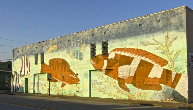 Warehouse Arts District — St Petersburg