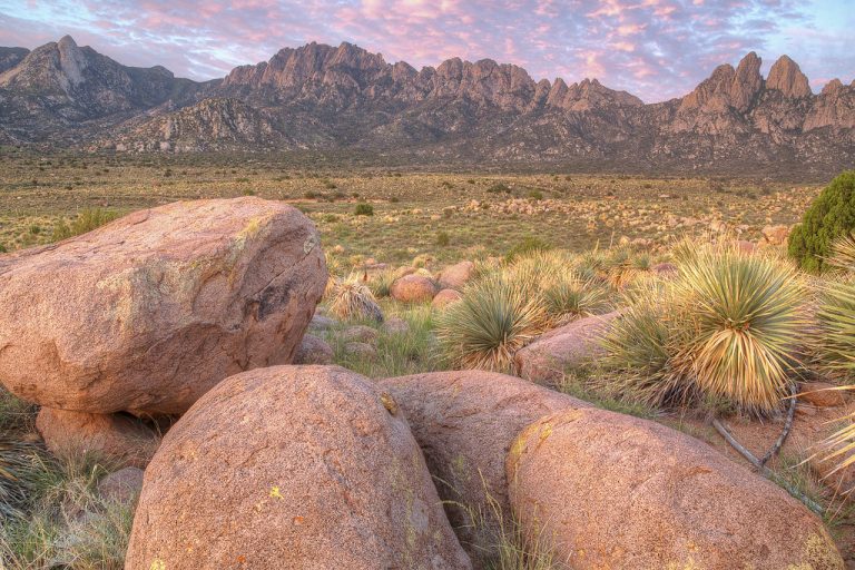 Chihuahuan Desert Nature Park — Las Cruces