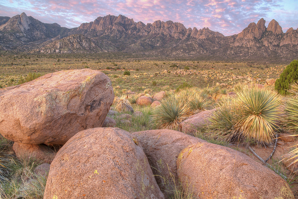 Chihuahuan Desert Nature Park — Las Cruces
