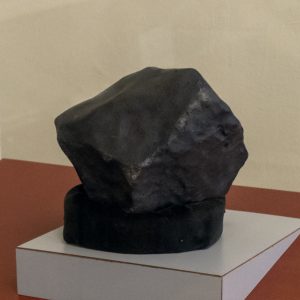 Alabama Museum of Natural History — Tuscaloosa
