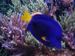 Cleveland Metroparks Zoo — Cleveland