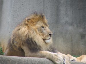 Louisville Zoo — Louisville