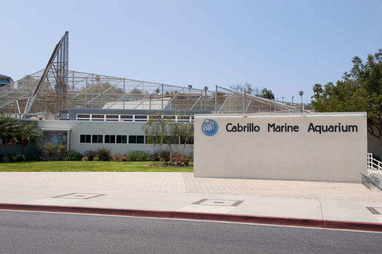 Cabrillo Marine Aquarium — Los Angeles