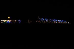 Austin Trail of Lights — Austin