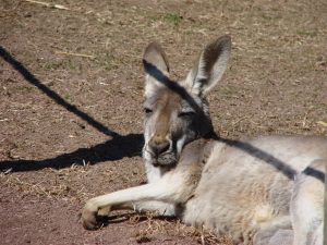 Lehigh Valley Zoo — Allentown