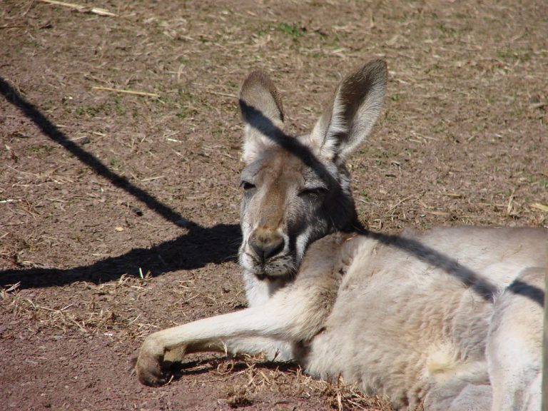 Lehigh Valley Zoo — Allentown