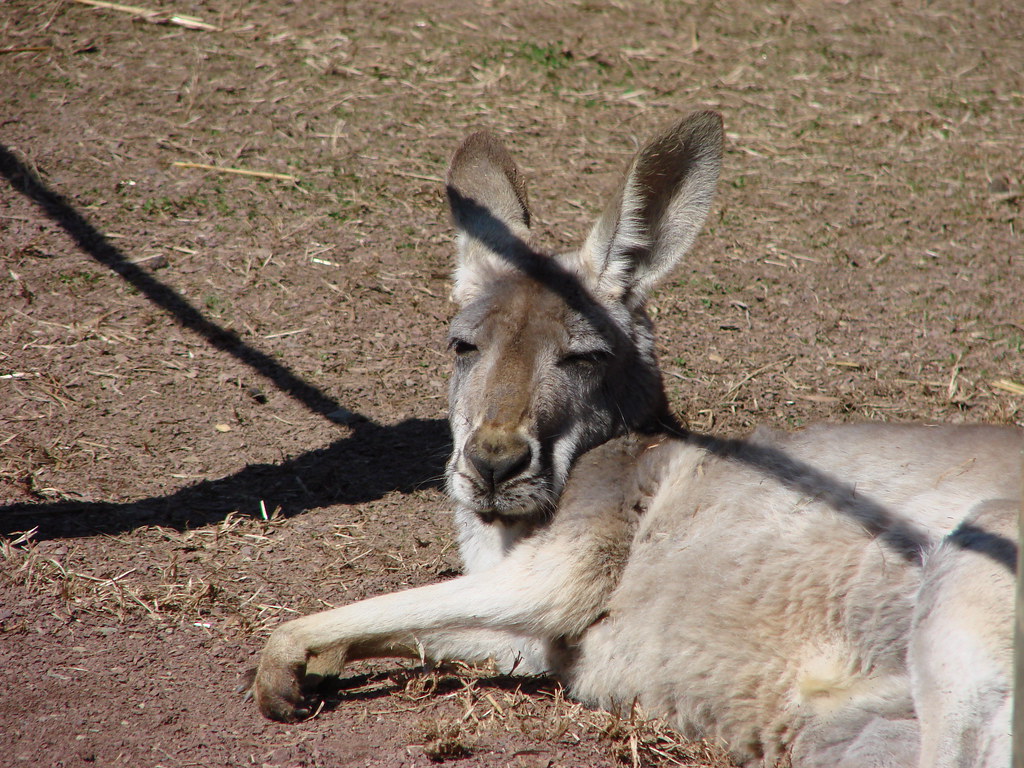 Lehigh Valley Zoo — Allentown