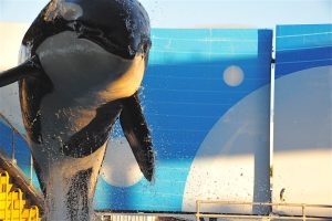 Miami Seaquarium — Miami