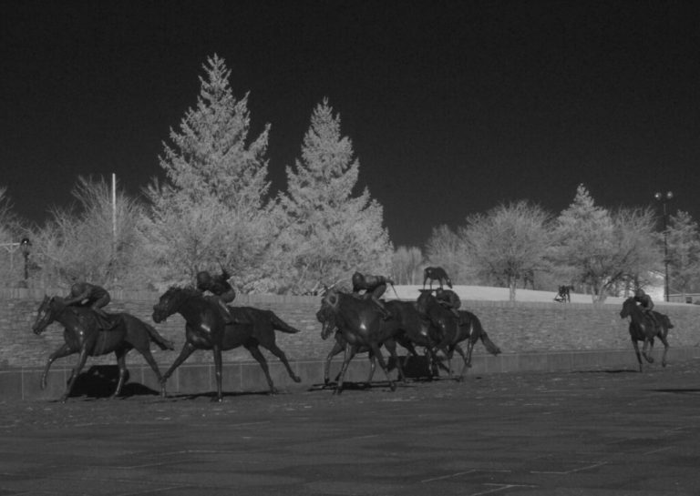 Thoroughbred Park — Lexington