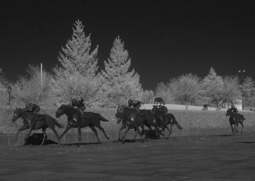 Thoroughbred Park — Lexington