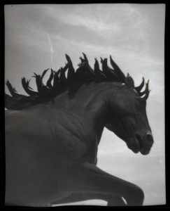 Mustangs of Las Colinas — Irving