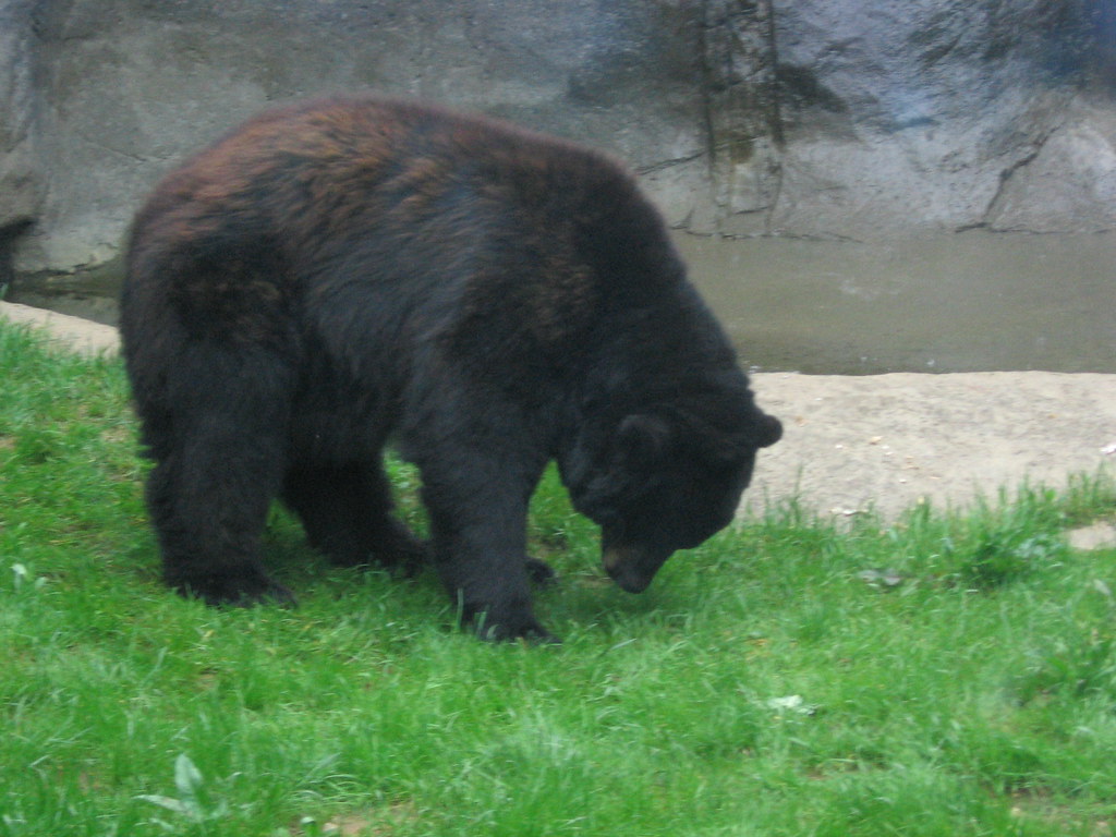 Zoo Knoxville — Knoxville
