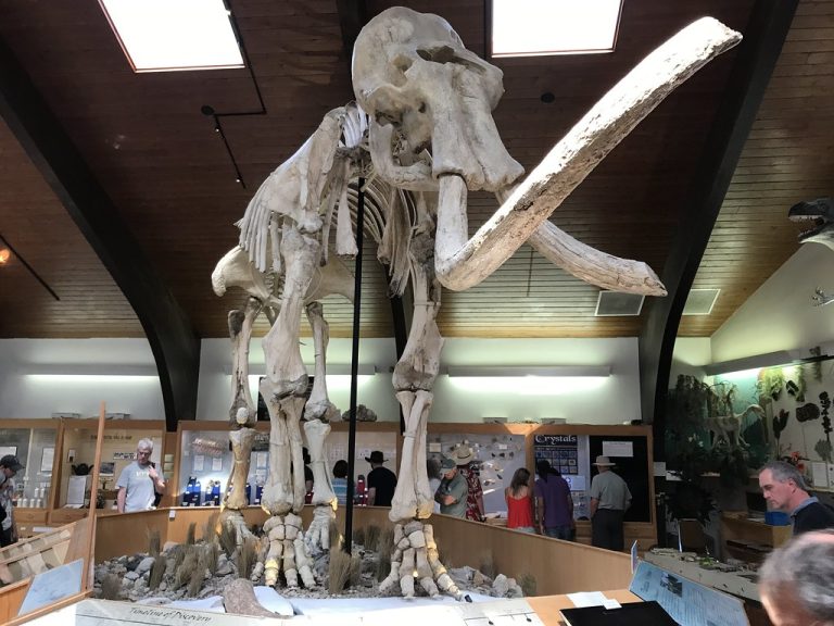 Tate Geological Museum — Casper