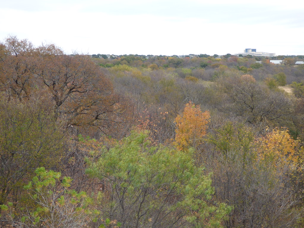 Arbor Hills Nature Preserve — Plano