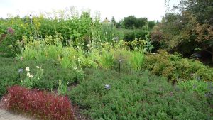 Frederik Meijer Gardens & Sculpture Park — Grand Rapids