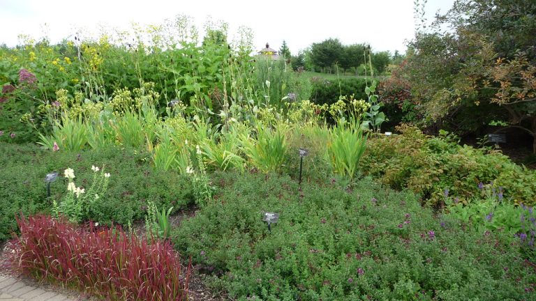 Frederik Meijer Gardens & Sculpture Park — Grand Rapids