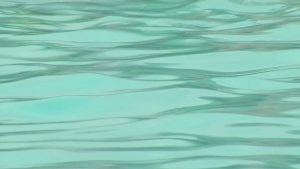 4 Year Old Girl In Critical Condition After Near Drowning