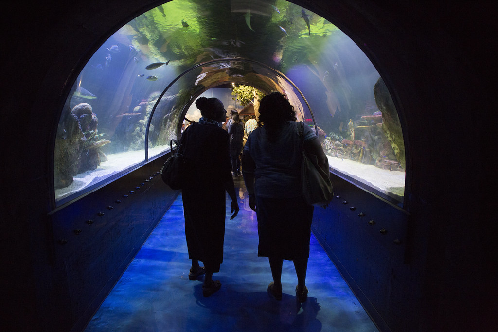 Shreveport Aquarium — Shreveport