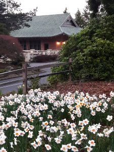 Point Defiance Park — Tacoma