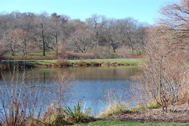 Arnold Arboretum — Boston