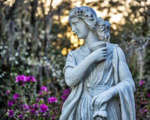 Middleton Place — Charleston