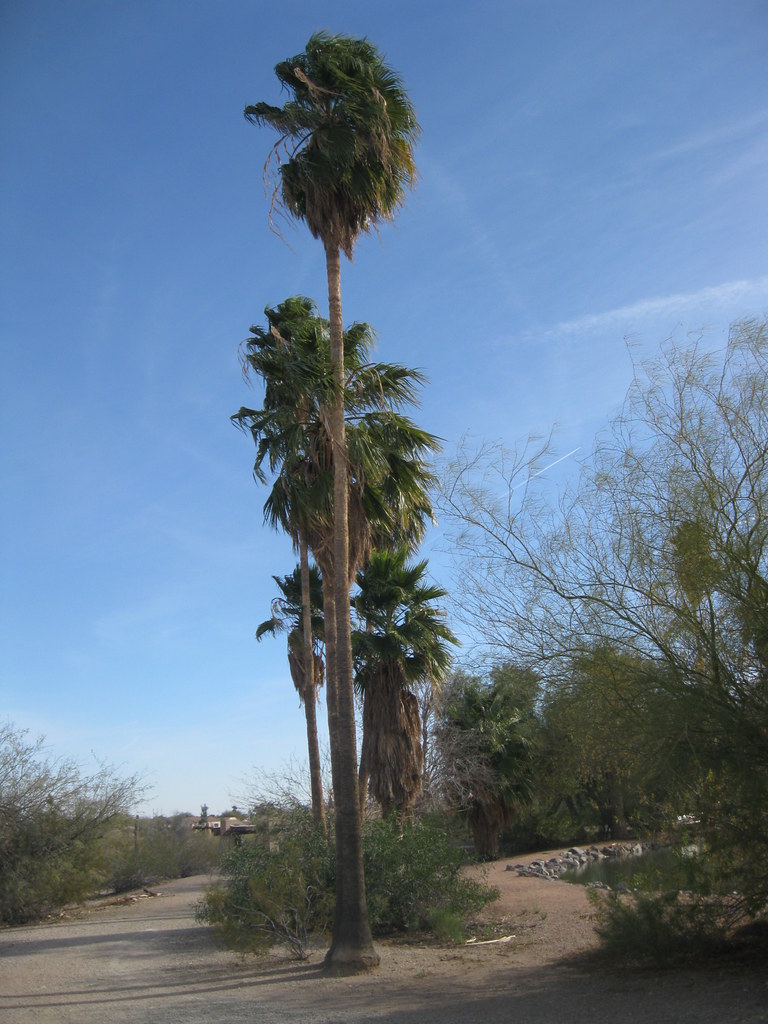 Papago Park — Phoenix