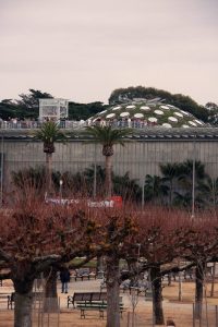 California Academy of Sciences — San Francisco