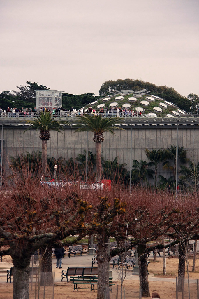 California Academy of Sciences — San Francisco