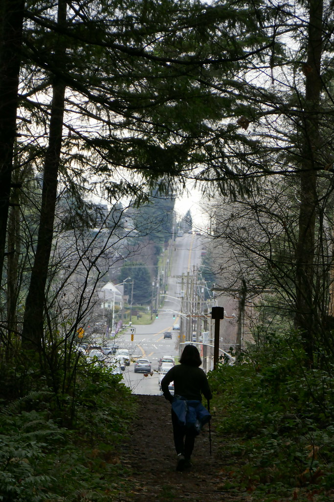 Swan Creek Park — Tacoma