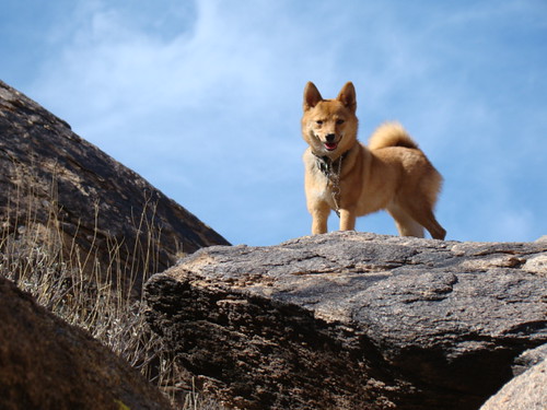 South Mountain Park and Preserve — Phoenix