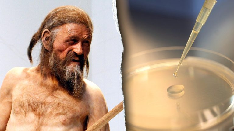5 300 Year Old Mummy Yields Signs Of Life