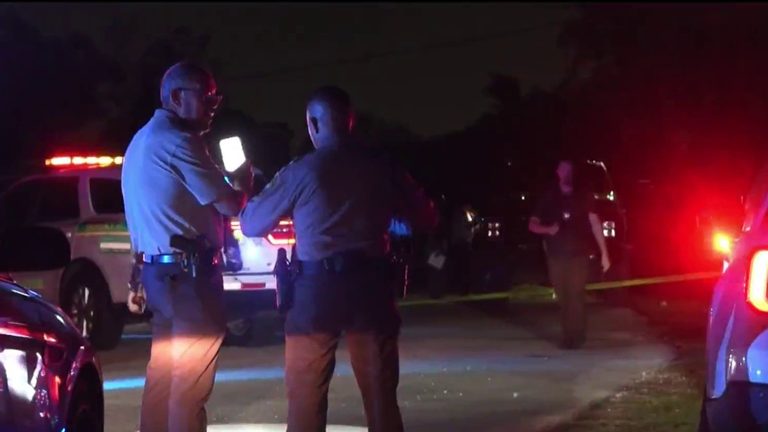 5 Year Old Boy Killed In Miami Dade Accident
