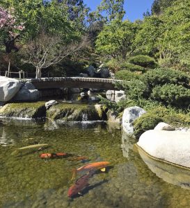 Japanese Friendship Garden of San Diego — San Diego