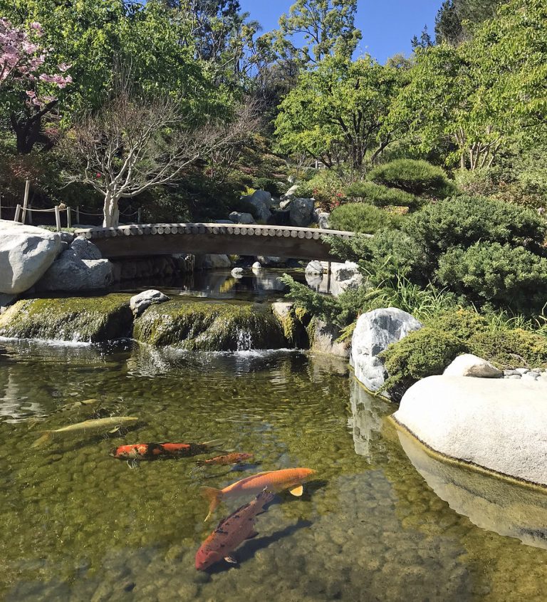 Japanese Friendship Garden of San Diego — San Diego